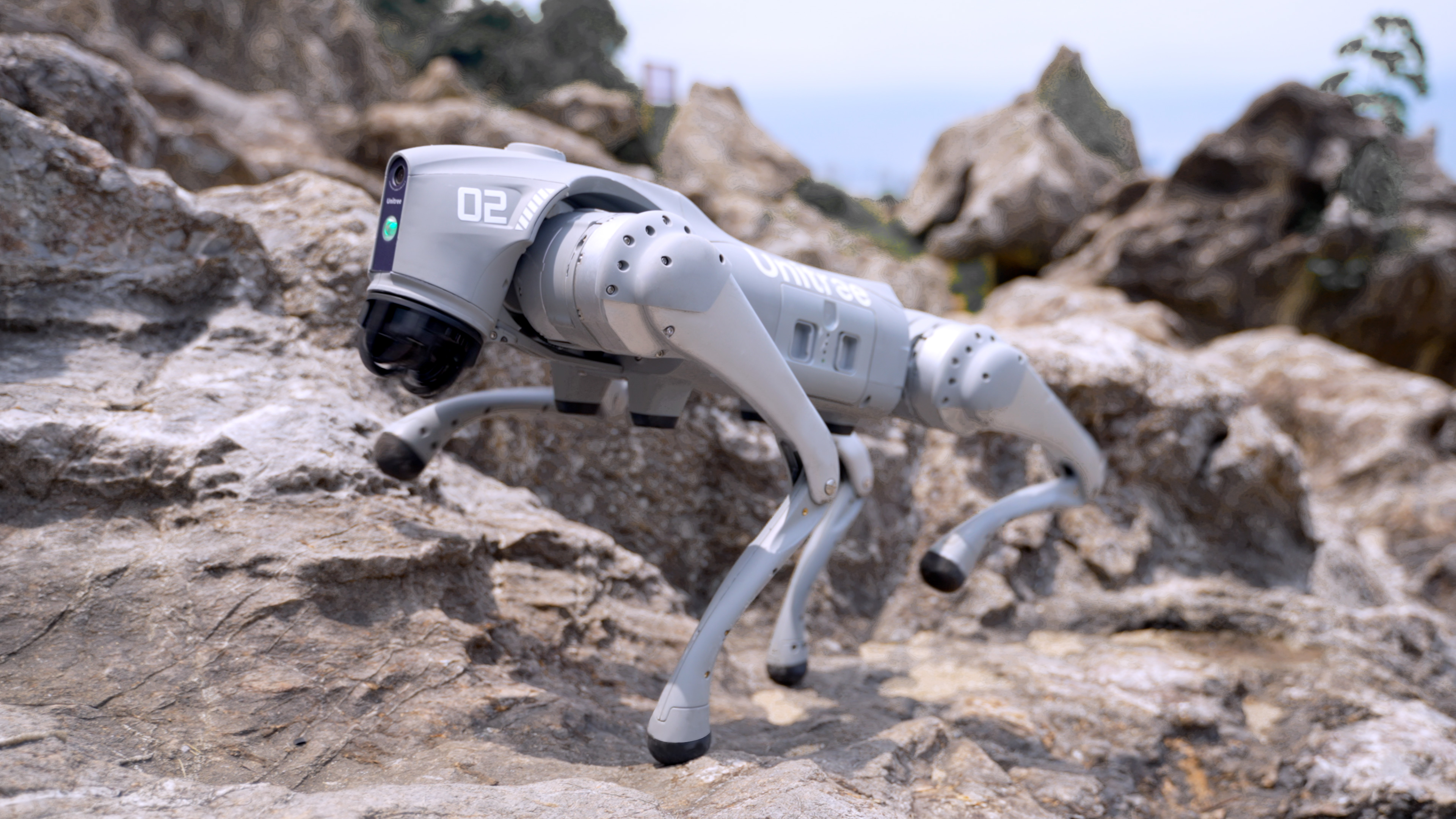 Unitree Go 2 Edu – robot czworonożny do badań, demonstracji i projektów edukacyjnych w środowisku uczelnianym.